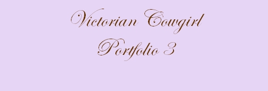 Victorian Cowgirl Portfolio 3